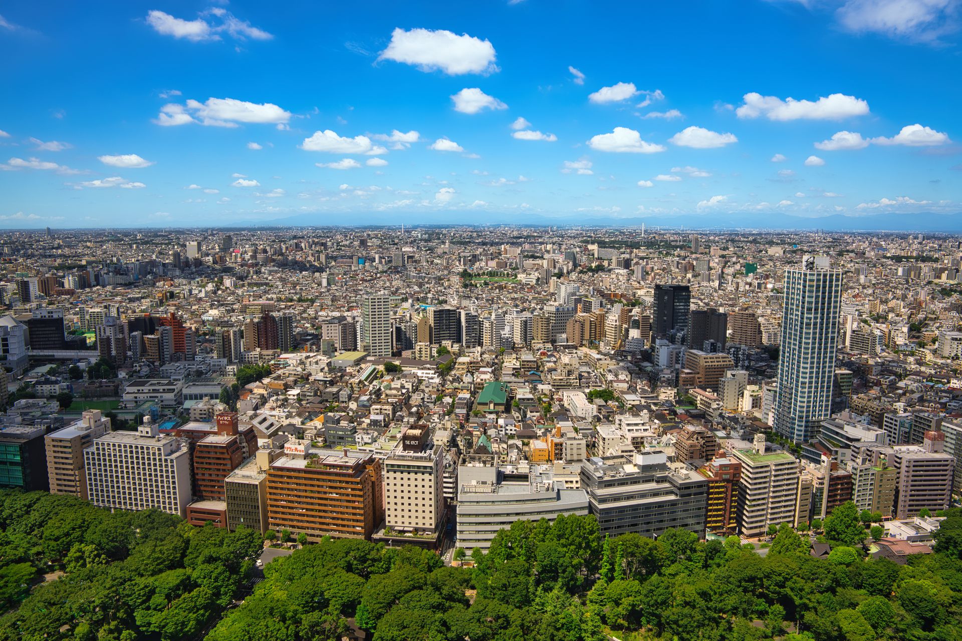 札幌の街並みを望む都市風景